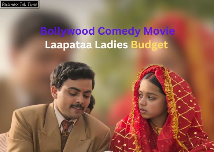 Laapataa Ladies Budget,Cast,Hit or Flop